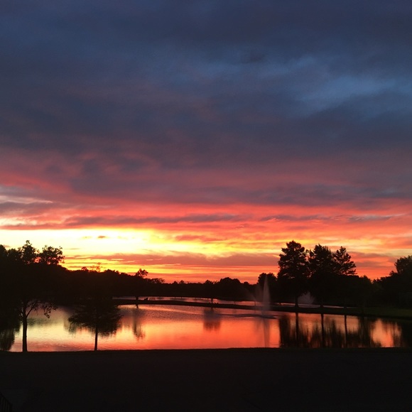 Meet the Posher - Picture 5 of 6